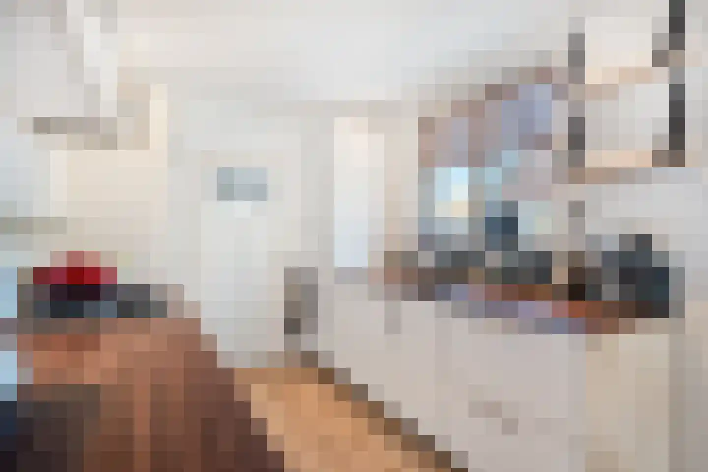 Prof. Granpré Molièrestraat 28 Wieringerwerf thumbnail 15