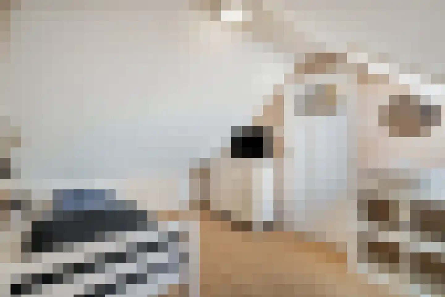 Prof. Granpré Molièrestraat 28 Wieringerwerf thumbnail 29
