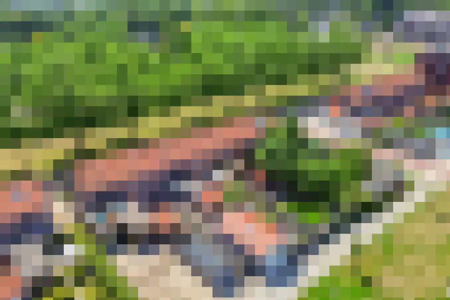 Prof. Granpré Molièrestraat 28 Wieringerwerf thumbnail 37