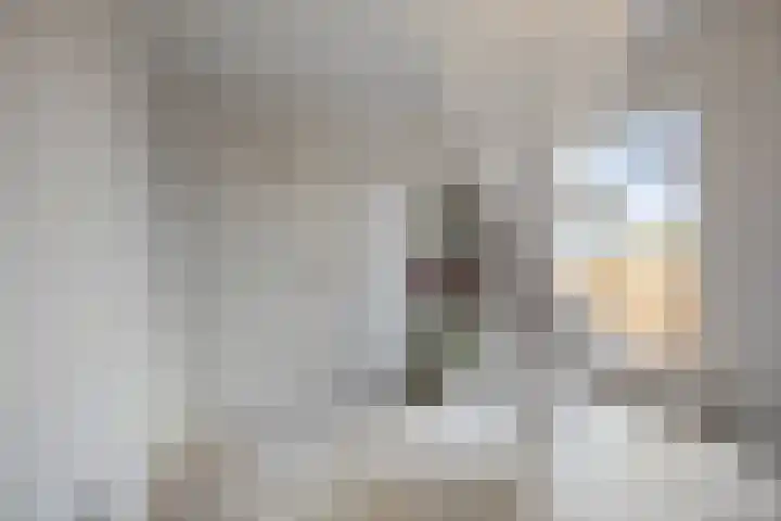 Prof. Granpré Molièrestraat 8 Wieringerwerf thumbnail 10