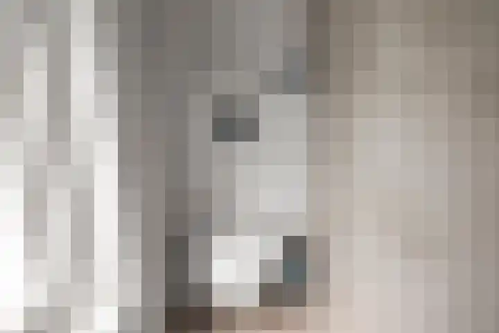 Prof. Granpré Molièrestraat 8 Wieringerwerf thumbnail 13