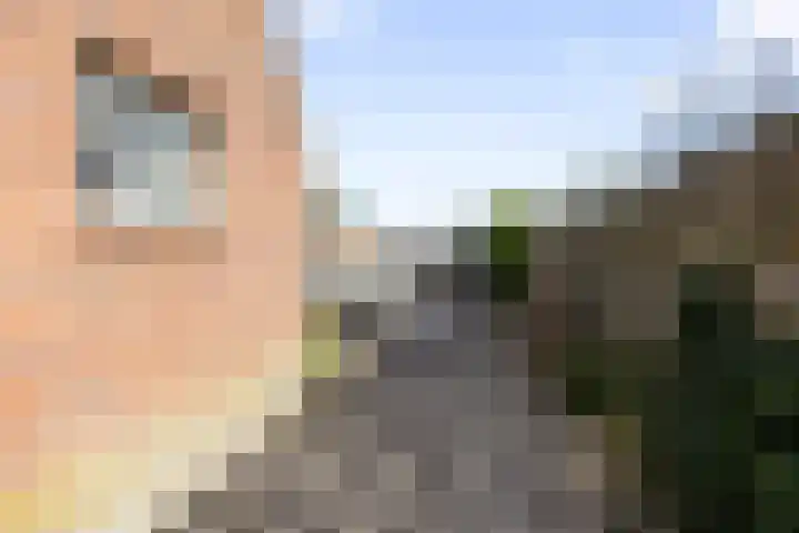 Prof. Granpré Molièrestraat 8 Wieringerwerf thumbnail 18