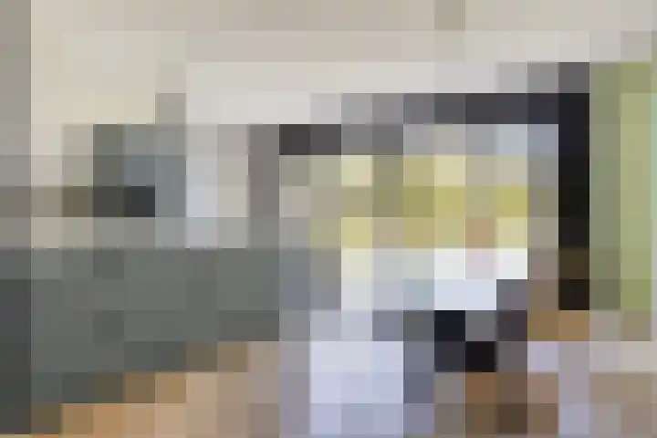 Prof. Grijnslaan 7 Wageningen thumbnail 15