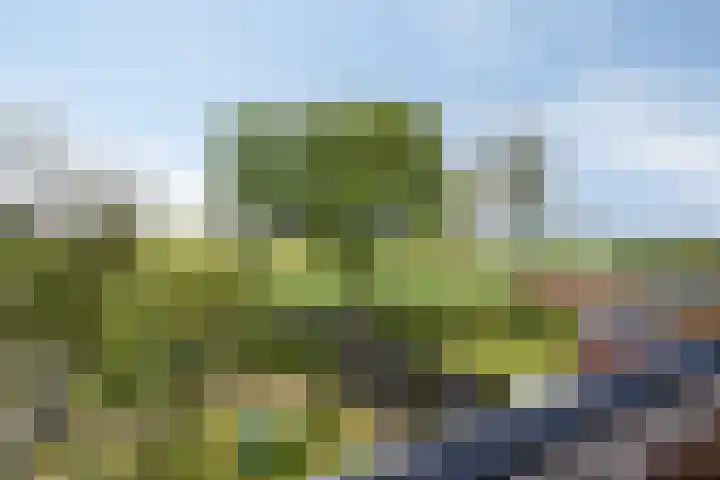 Prof. Grijnslaan 7 Wageningen foto 2