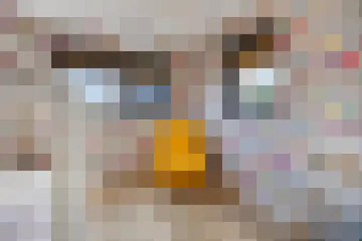 Prof. Grijnslaan 7 Wageningen thumbnail 28