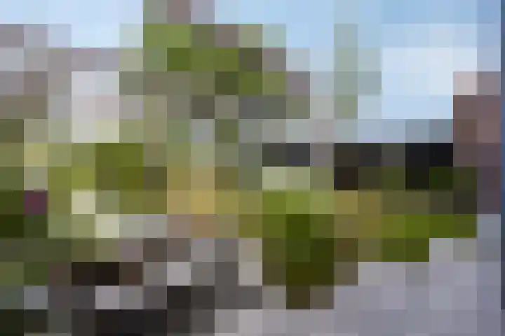 Prof. Grijnslaan 7 Wageningen thumbnail 36