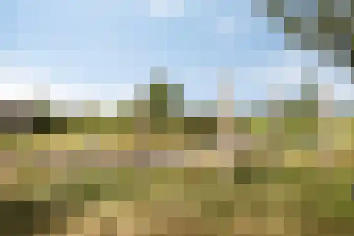Prof. Grijnslaan 7 Wageningen thumbnail 39