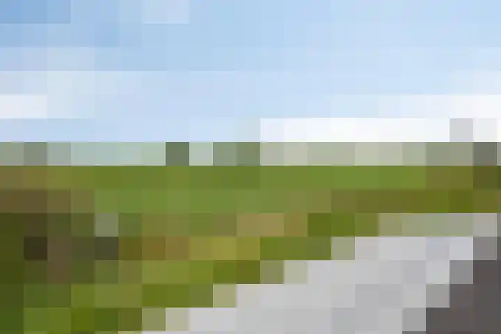 Prof. Grijnslaan 7 Wageningen thumbnail 40