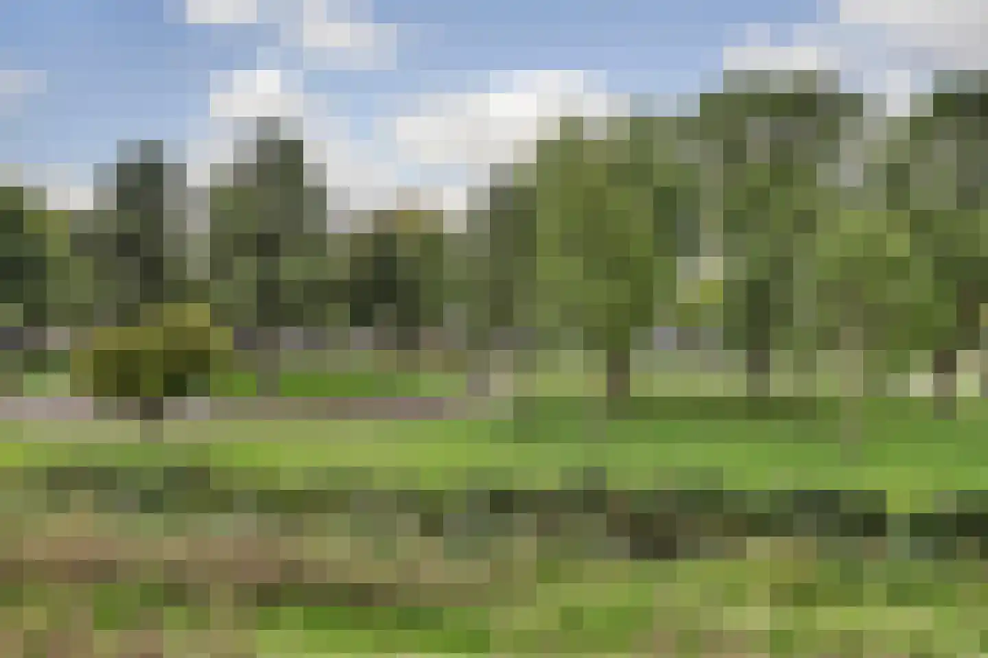 Prof. Gunninglaan 11 Dordrecht thumbnail 8