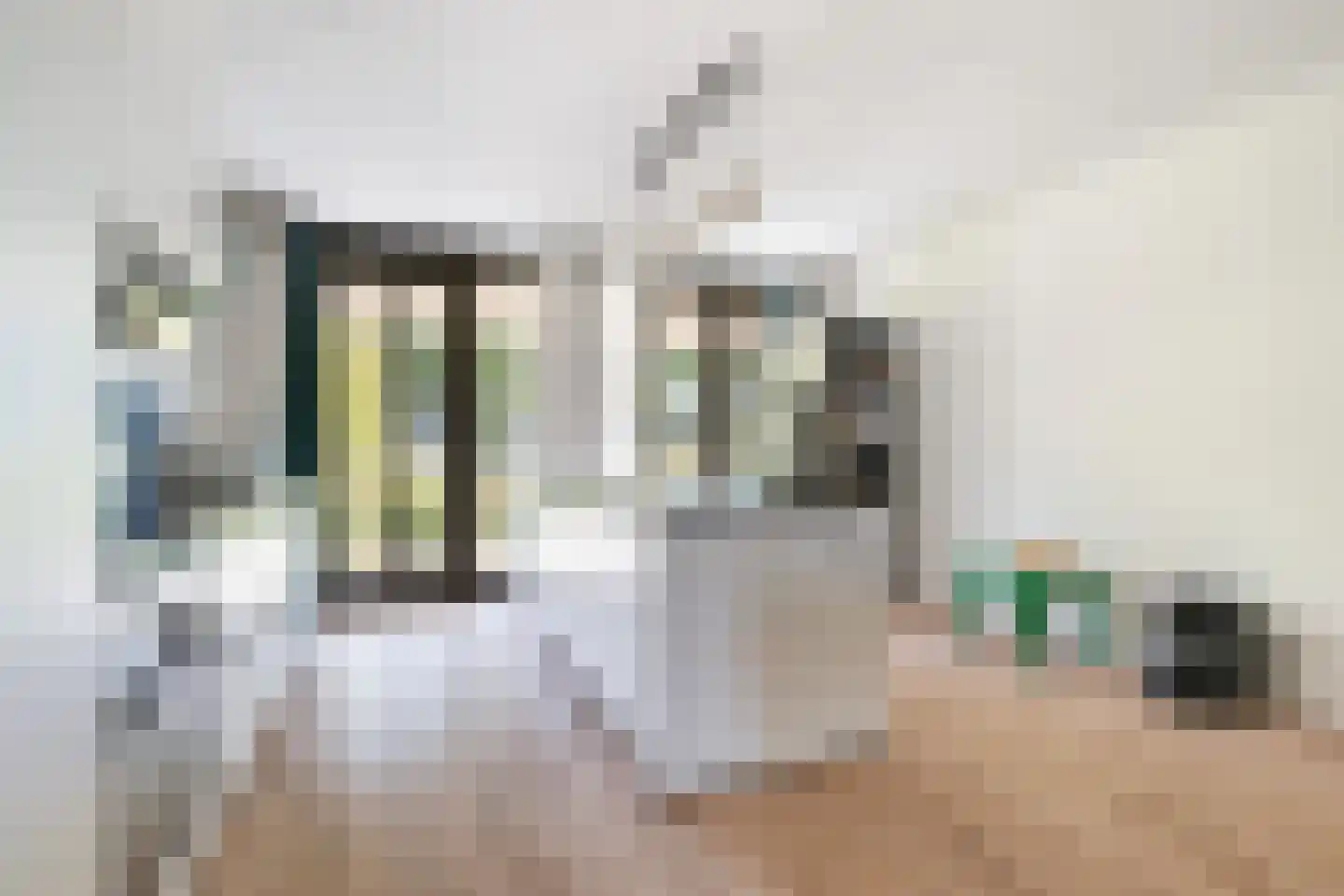 Prof. Gunninglaan 7 Dordrecht thumbnail 7