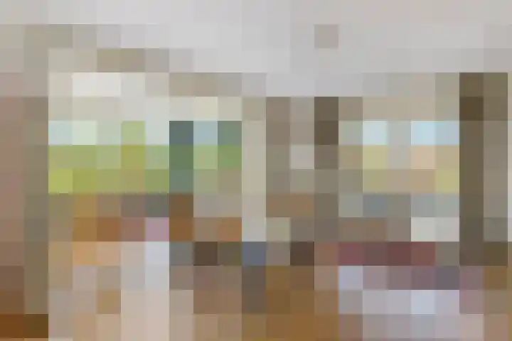 Prof. H. van der Hoevenstraat 9 a Klein Zundert thumbnail 10