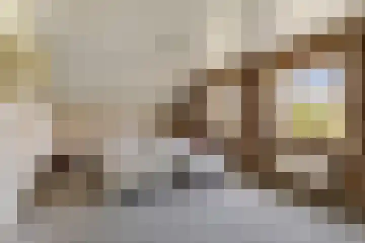 Prof. H. van der Hoevenstraat 9 a Klein Zundert thumbnail 18
