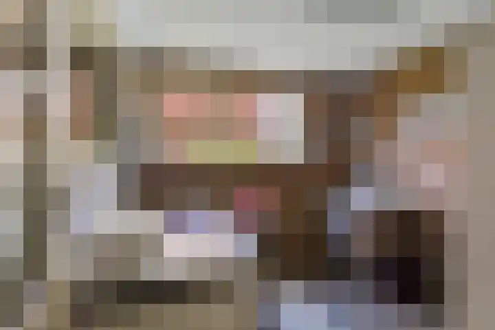 Prof. H. van der Hoevenstraat 9 a Klein Zundert thumbnail 29
