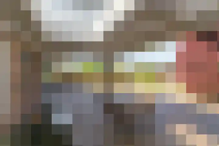 Prof. H. van der Hoevenstraat 9 a Klein Zundert thumbnail 36