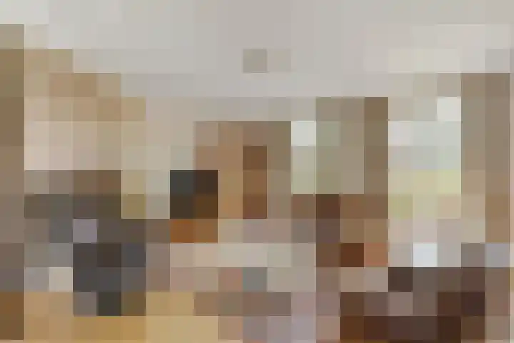 Prof. H. van der Hoevenstraat 9 a Klein Zundert thumbnail 8