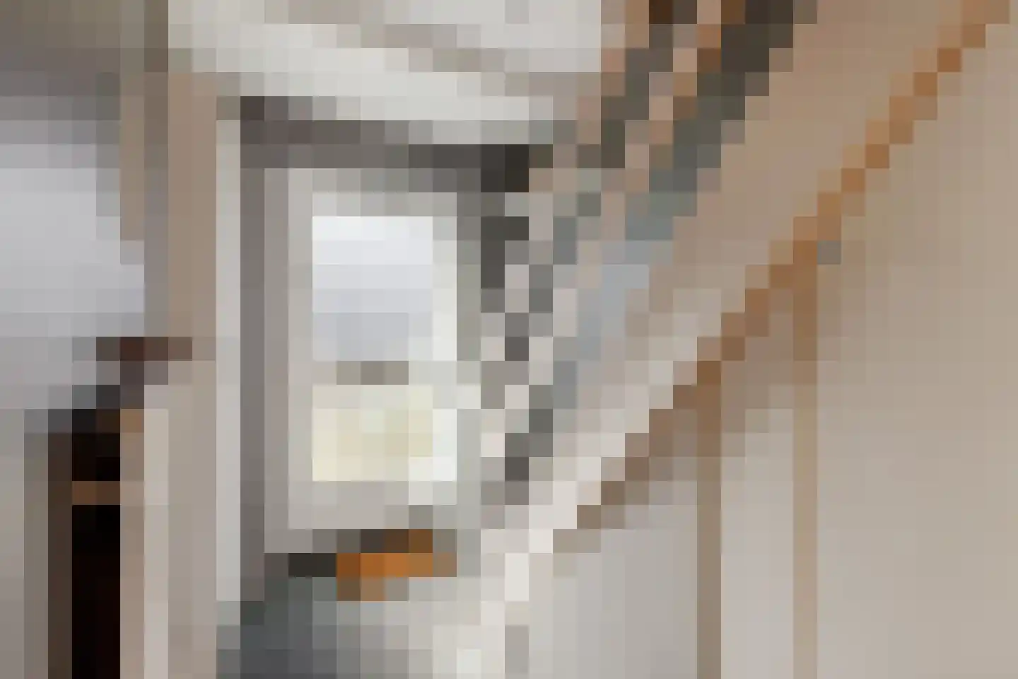 Prof. Henketstraat 19 Delft thumbnail 11