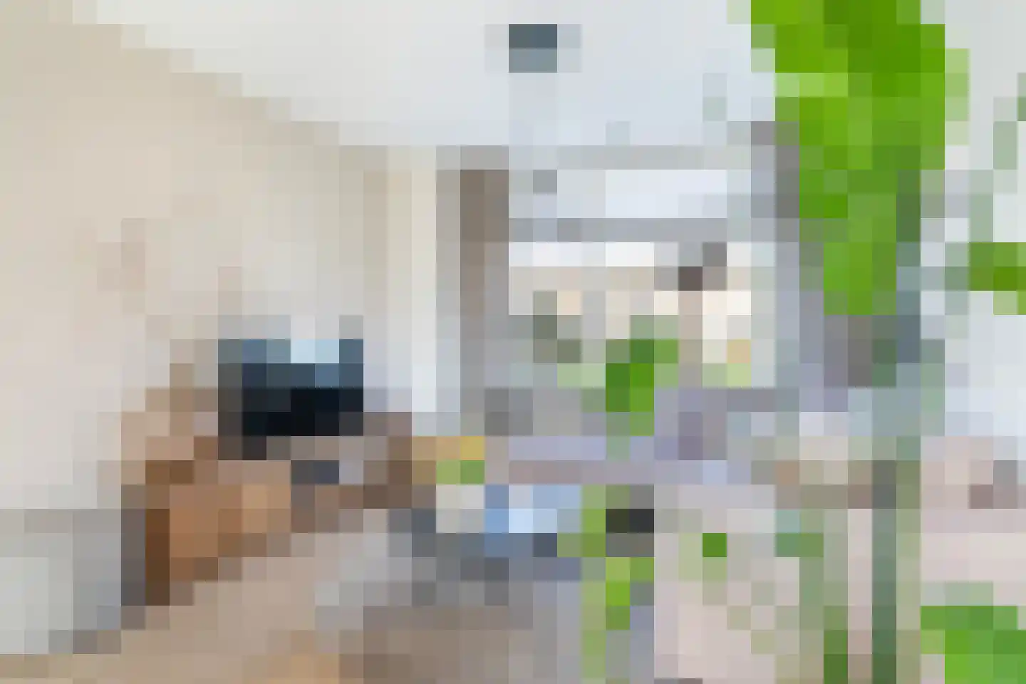 Prof. Heymansstraat 14 Ferwert thumbnail 11