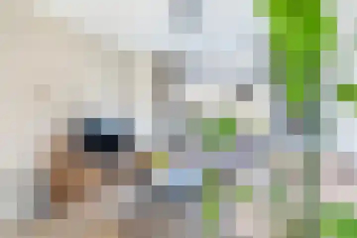Prof. Heymansstraat 14 Ferwert thumbnail 11