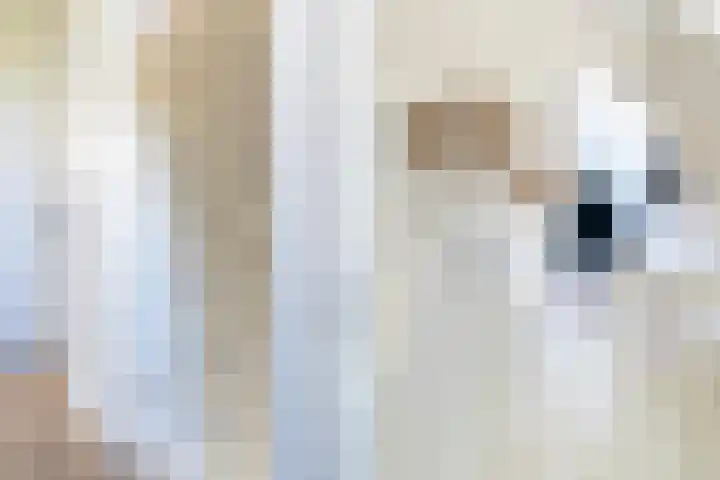 Prof. Heymansstraat 14 Ferwert thumbnail 20