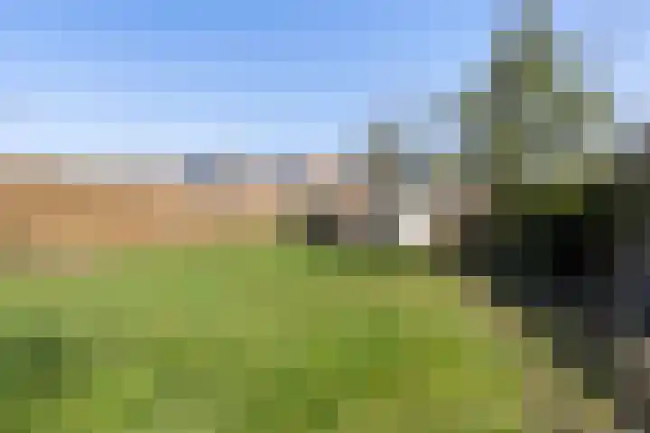 Prof. Heymansstraat 14 Ferwert thumbnail 33