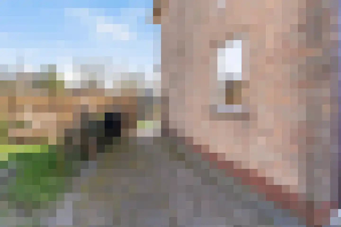 Prof. Heymansstraat 14 Ferwert thumbnail 38