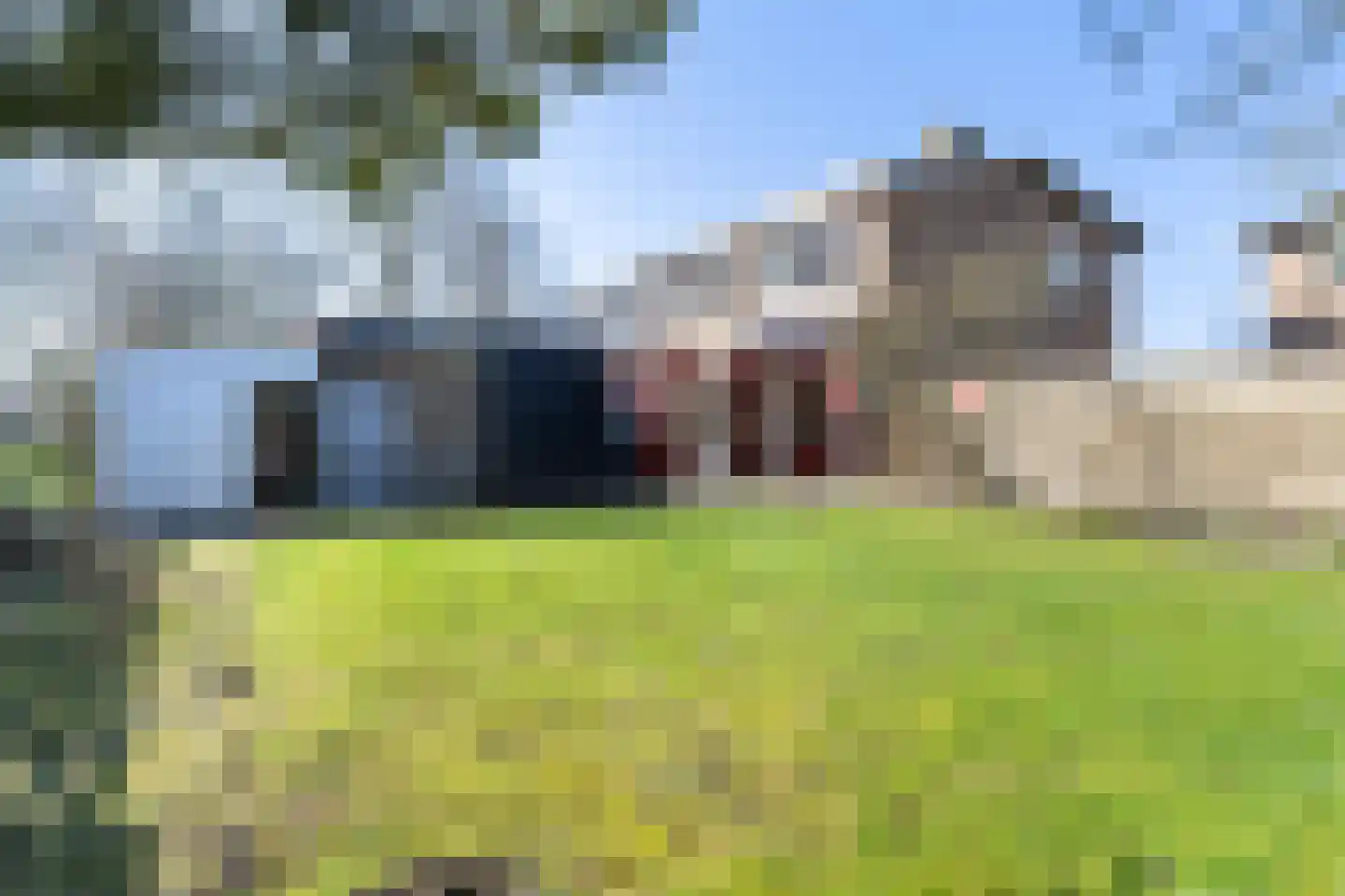 Prof. Heymansstraat 14 Ferwert thumbnail 4