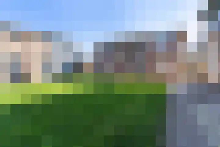 Prof. Heymansstraat 14 Ferwert thumbnail 40