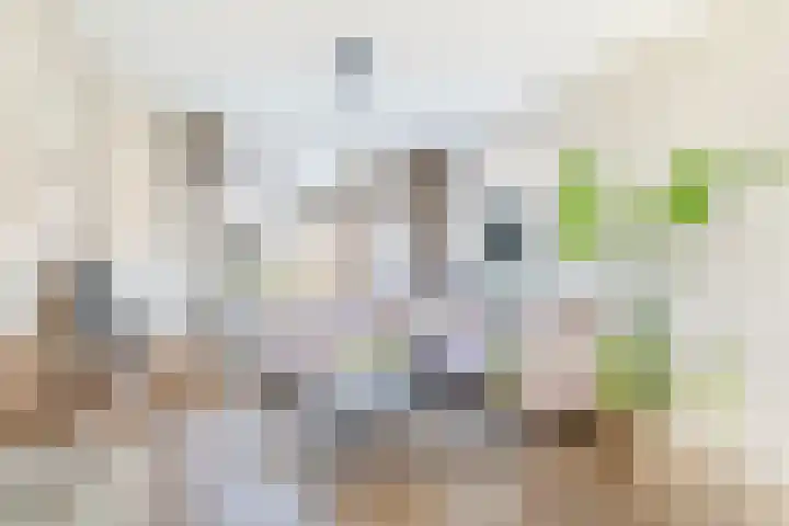 Prof. Heymansstraat 14 Ferwert thumbnail 9