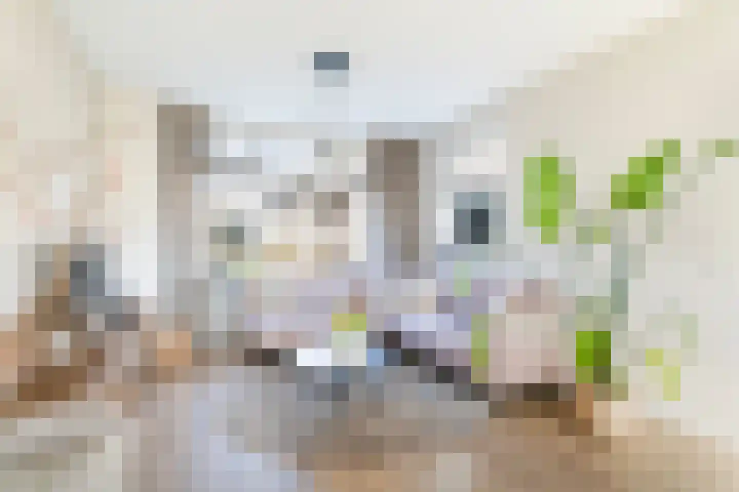 Prof. Heymansstraat 14 Ferwert thumbnail 9