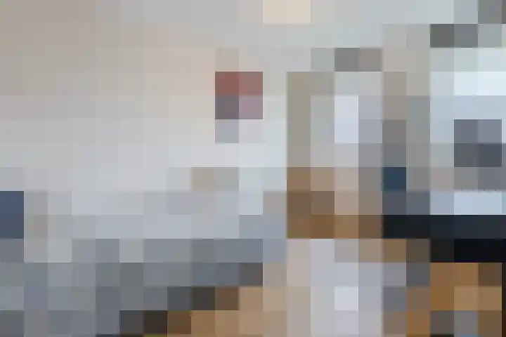 Prof. Hofsteestraat 14 Wageningen thumbnail 21
