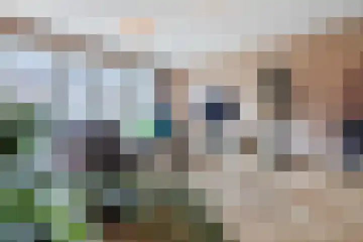 Prof. Hofsteestraat 14 Wageningen thumbnail 7