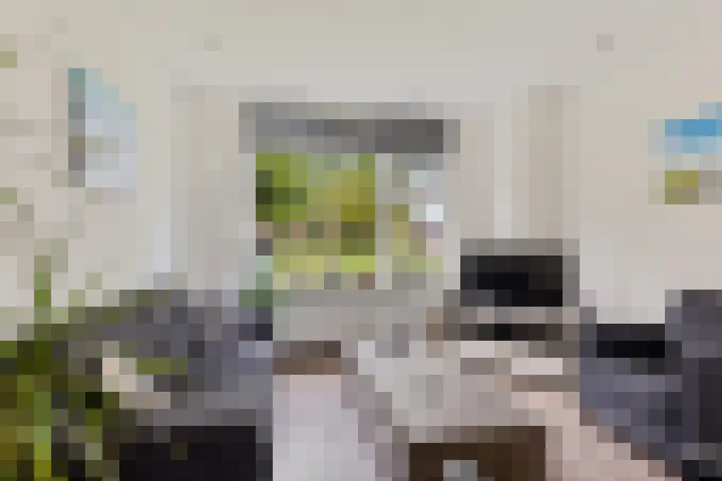 Prof. Holwardastrjitte 55 Holwert thumbnail 11
