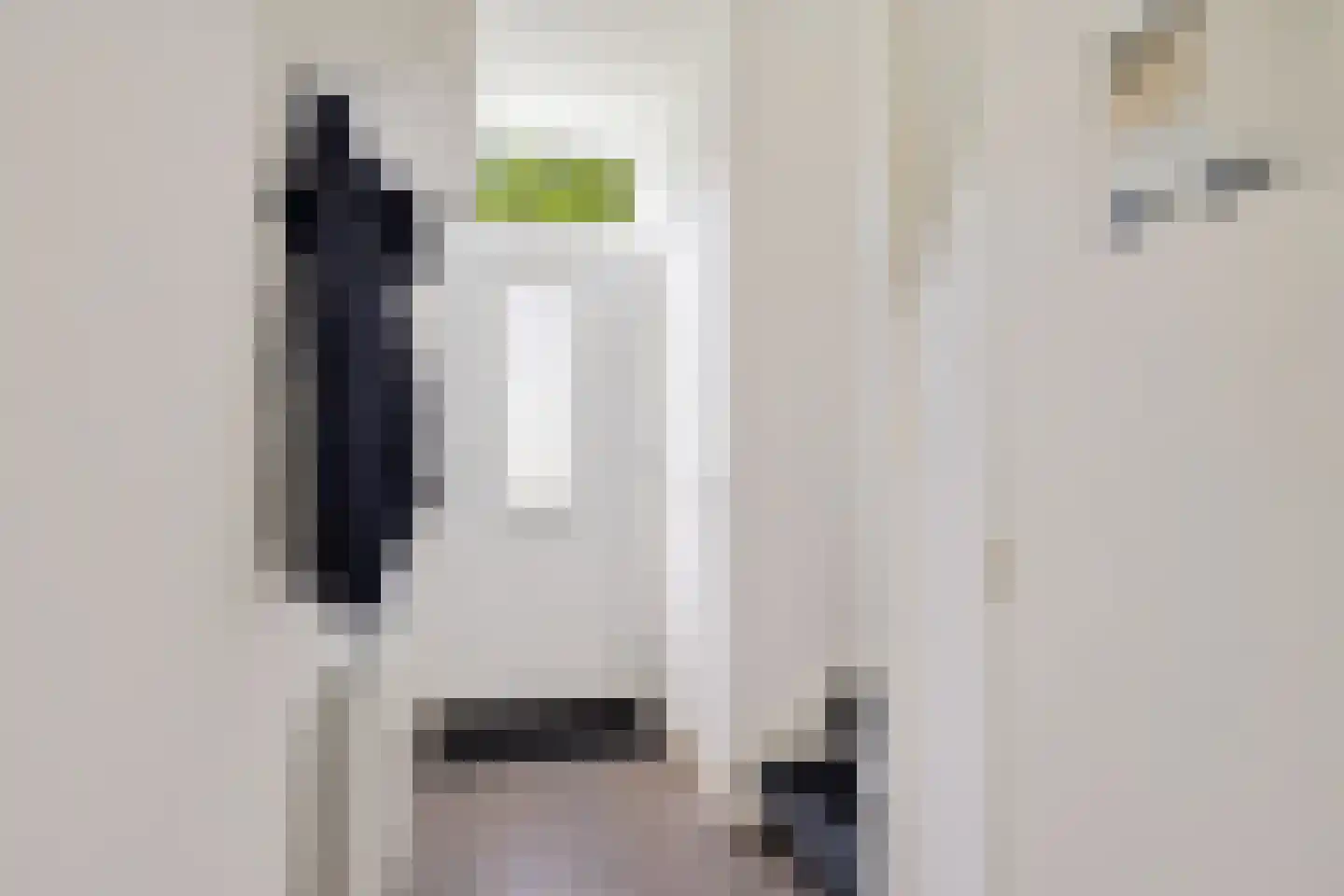Prof. Holwardastrjitte 55 Holwert thumbnail 18