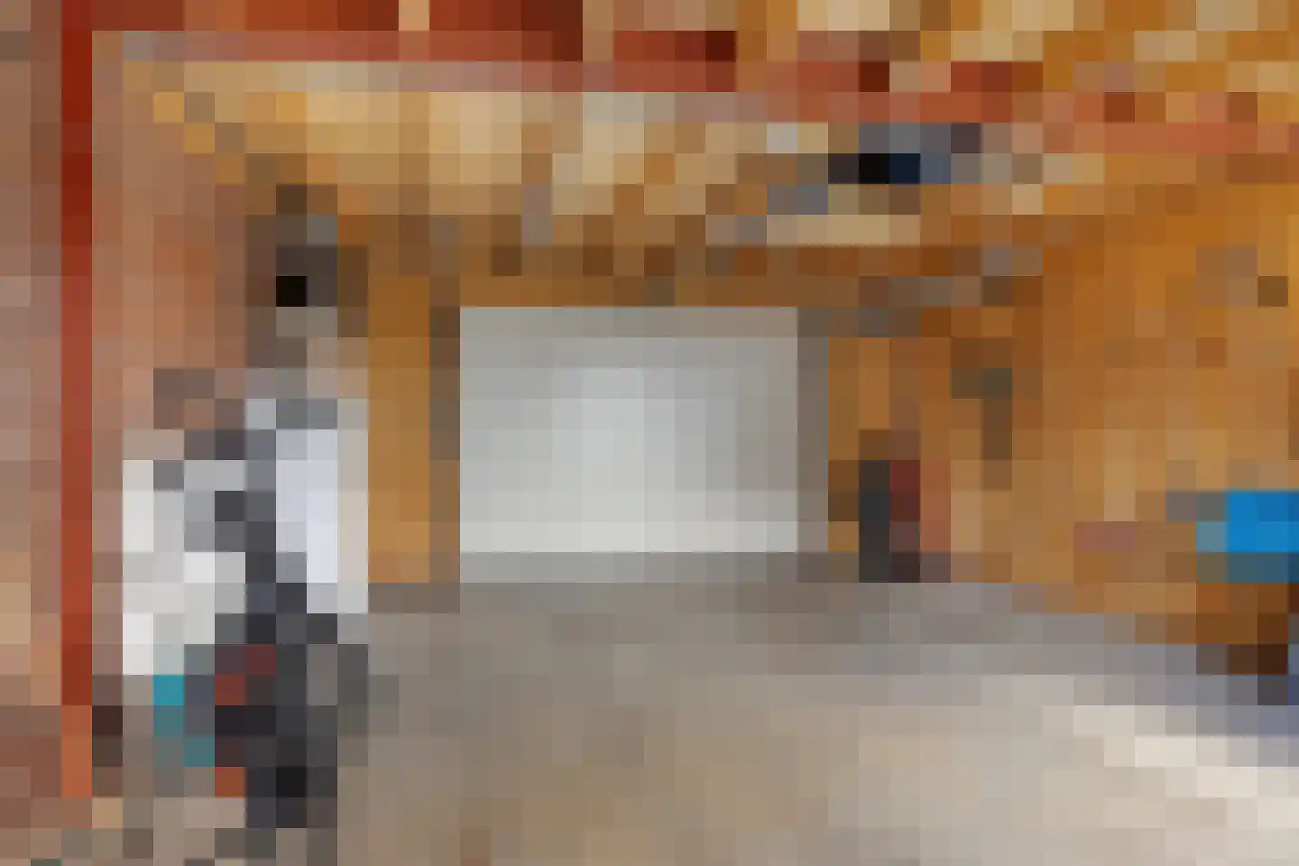 Prof. Holwardastrjitte 55 Holwert thumbnail 29