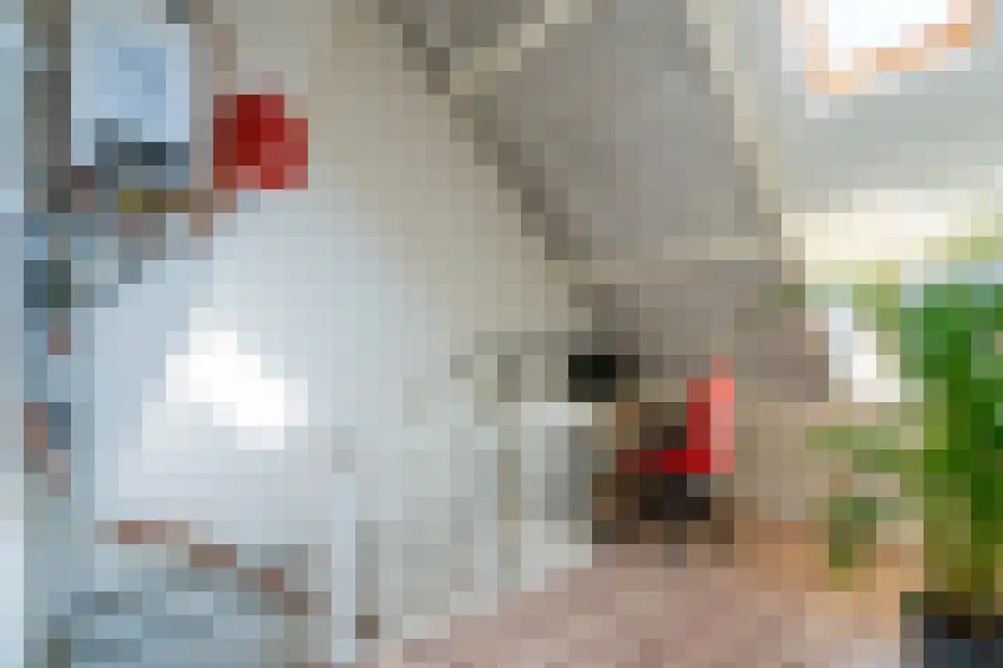 Prof. Hugo de Vrieslaan 3 Utrecht thumbnail 34