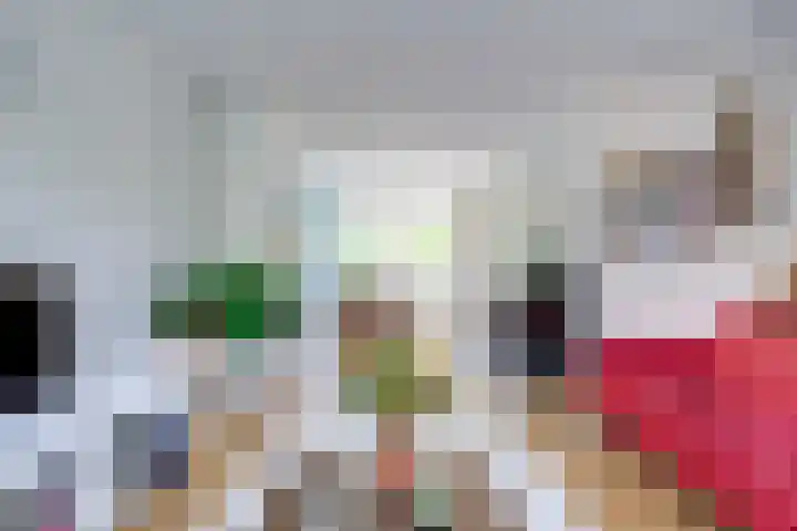 Prof. Hugo de Vrieslaan 60 Utrecht thumbnail 10