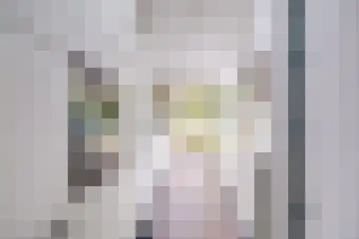 Prof. Hugo de Vrieslaan 60 Utrecht thumbnail 11