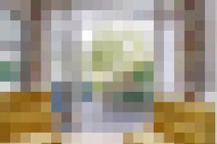 Prof. Hugo de Vrieslaan 60 Utrecht thumbnail 14