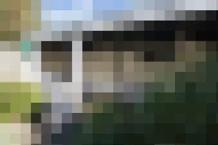 Prof. Hugo de Vrieslaan 60 Utrecht thumbnail 16