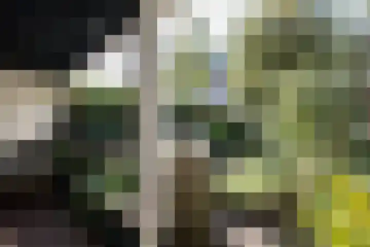 Prof. Hugo de Vrieslaan 60 Utrecht thumbnail 18