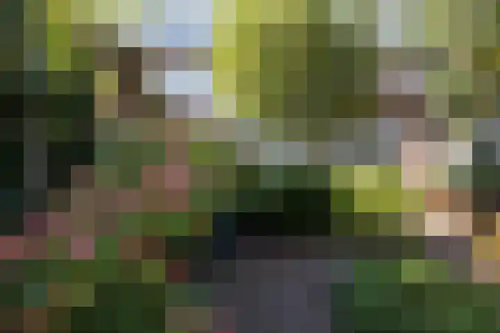 Prof. Hugo de Vrieslaan 60 Utrecht thumbnail 19