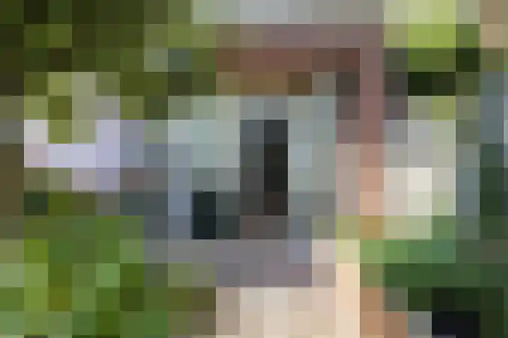 Prof. Hugo de Vrieslaan 60 Utrecht thumbnail 20