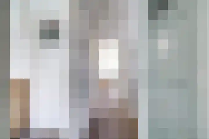 Prof. Hugo de Vrieslaan 60 Utrecht thumbnail 23