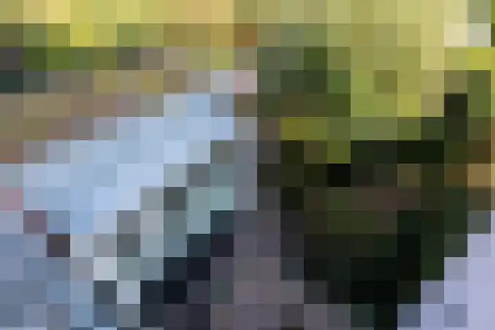Prof. Hugo de Vrieslaan 60 Utrecht thumbnail 25