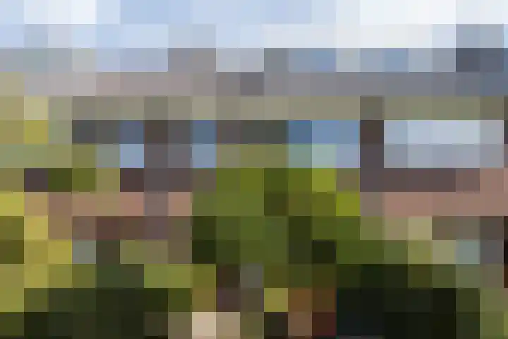 Prof. Hugo de Vrieslaan 60 Utrecht thumbnail 4