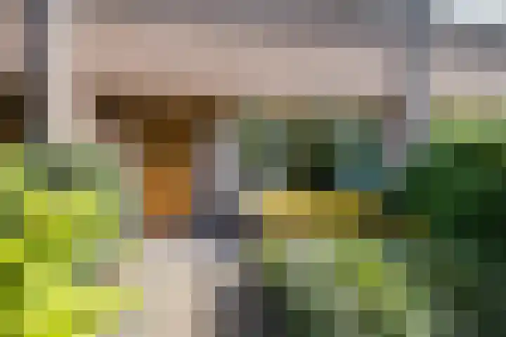 Prof. Hugo de Vrieslaan 60 Utrecht thumbnail 5