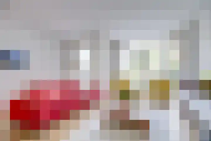Prof. Hugo de Vrieslaan 60 Utrecht thumbnail 7