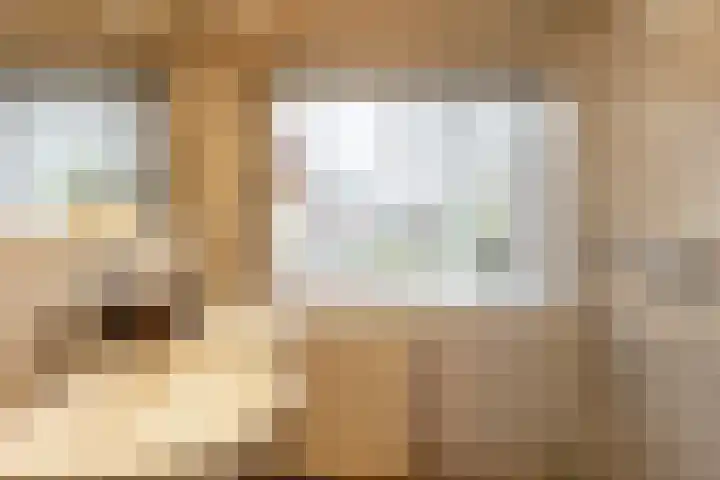 Prof. J.W. Dieperinklaan 18 Utrecht thumbnail 23