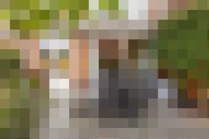 Prof. J.W. Dieperinklaan 18 Utrecht thumbnail 41