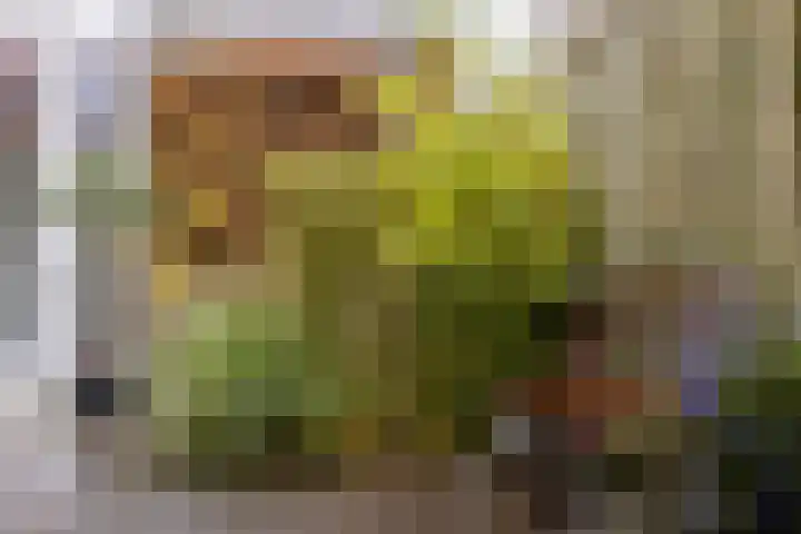 Prof. J.W. Dieperinklaan 18 Utrecht thumbnail 42